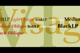 Visage LP Black Oblique