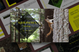 Wilderness X Thin