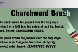 Churchward Brush Std Regular (D)