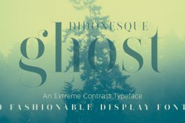 Didonesque Ghost Std Black