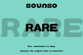 A020-Sounso Rare Regular
