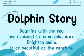 Dolphin Story 常规