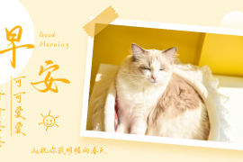 Aa祝你我明媚向春天 常规