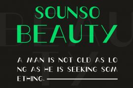 A002-Sounso Beauty Regular