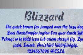 Blizzard Std Standard (D)