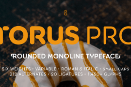 Torus Pro Pro Light