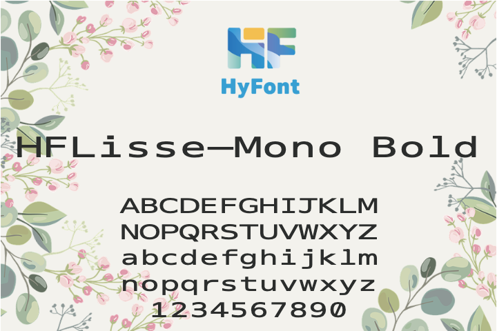 HFLisse-Mono Bold