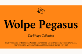 Wolpe Pegasus Pro Bold Italic