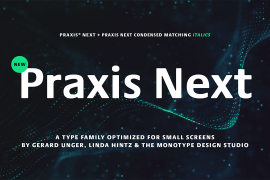 Praxis Next Pro Italic