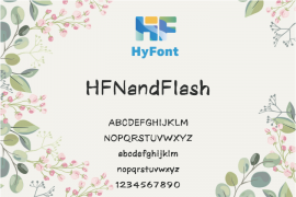 HFNandFlash Regular