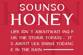A008-Sounso Honey Regular