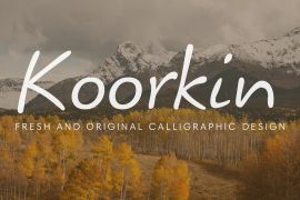 Koorkin Pro Regular