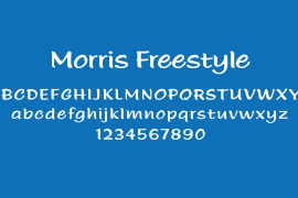 Morris Freestyle Std Regular
