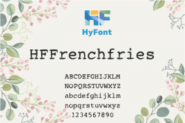 HFFrenchfries Regular