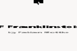 FF Franklinstein Std Regular