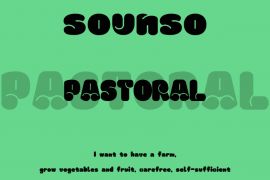 A018-Sounso Pastoral Regular