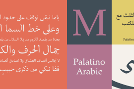 Palatino Arabic Regular