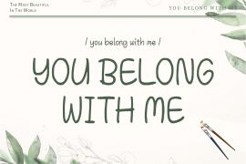You Belong With Me 常规