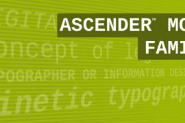 Ascender Sans Mono WGL Bold Italic