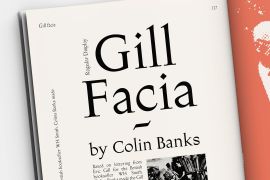 Gill Facia Pro Italic
