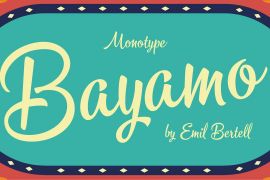Bayamo Pro Regular