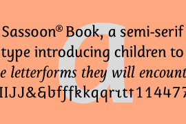 Sassoon Book Std Italic