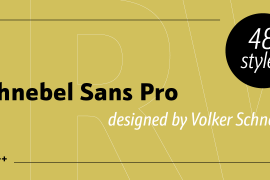 Schnebel Sans Pro Pro Light