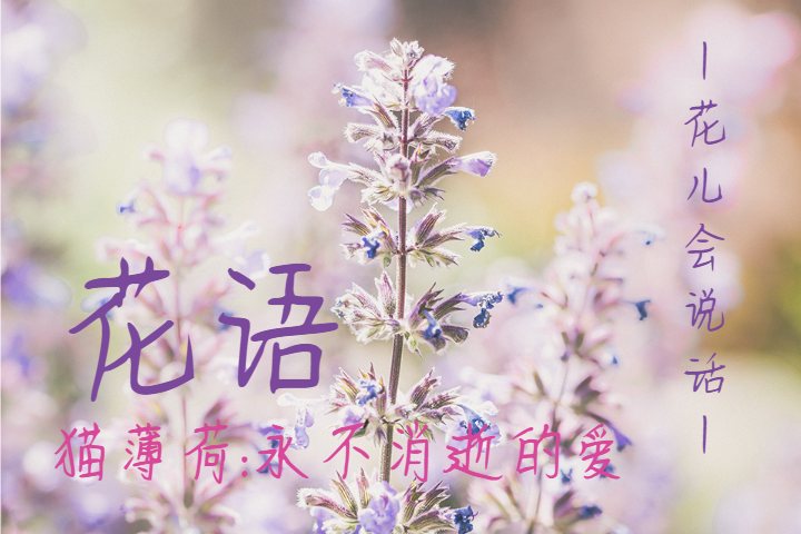字體預覽樣張