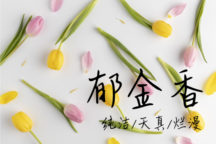 Font Preview