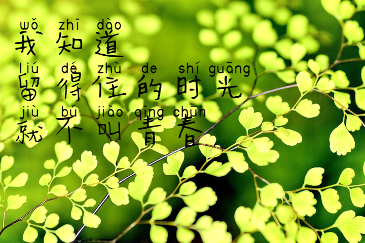 字體預覽樣張