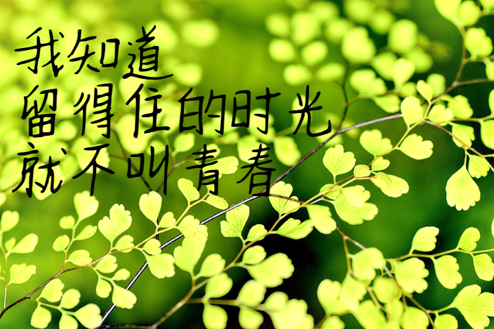 字體預覽樣張