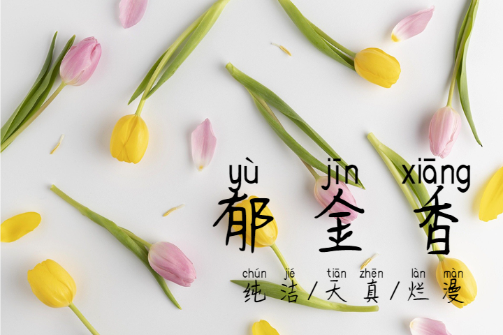 Font Preview