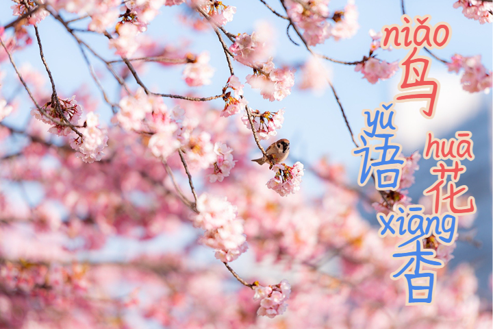 字體預覽樣張